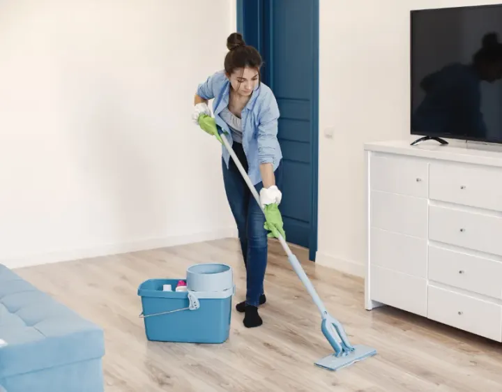 Femme de ménage Sully